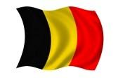 9596252 drapeau de la belgique