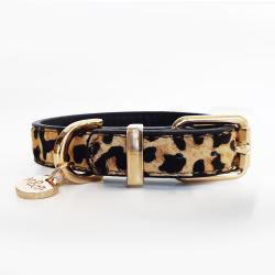 Leopard collar 1