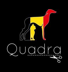 Logo quadra