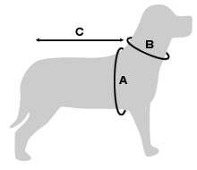 Model guide taille 1