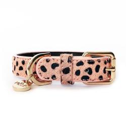 Mp4188 guepard rose 1 copie